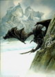 fantasy obrzky drak, elf, bytost, vl a hrdin - odeli jako pohlednice pohlednice elektronick